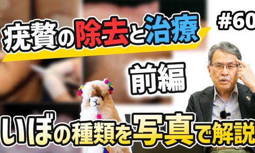 康妇炎的功效与作用图片-康妇炎的功效与作用网—知名的康妇炎胶囊的功效网站,分享康妇炎胶囊的功效知识